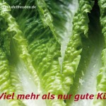 werbepostkarte_wittenstein